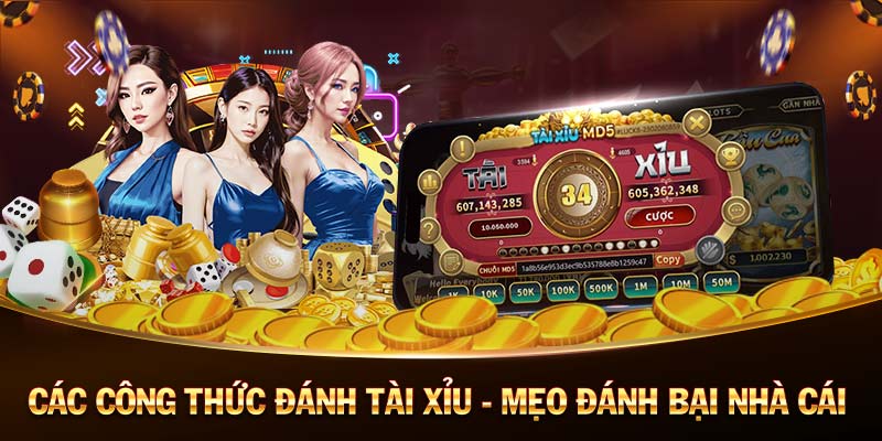 Nhà cái uy tín nhất Việt Nam gọi tên anh tài kuwin Nhà cái uy tín nhất Việt Nam gọi tên anh tài kuwin